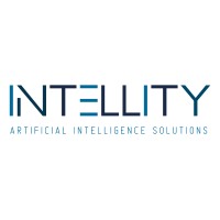 Intellity Artificial Intelligence Solutions logo - Similar company to Paperwork, Ölçemezseniz Yönetemezsiniz