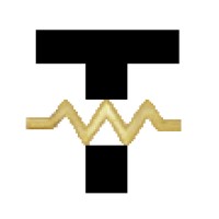TechWealth™ IT Adventures logo - Similar company to Techzilla.Com