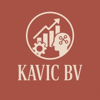 Kavic logo - Similar company to Datavise