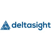 Deltasight SAS logo - Similar company to Bad Marines Studio