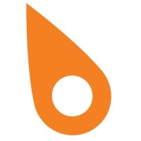 Autopartes del Norte S.A. logo - Similar company to Autopartes Fal S.A.