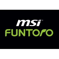 MSI FUNTORO Philippines logo - Similar company to Mcvalley Technology
