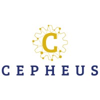Cepheus-Innov logo - Similar company to Gravity Joe