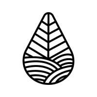 Meraki Tisana