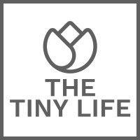 The Tiny Life logo - Similar company to Solvable Studios