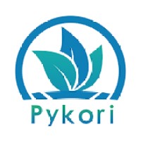 Paikerui Medial-T3 IR forehead gun. K3/K7/K9 wall mounted IR thermometer, googles, oximeter logo - Similar company to Highfive Electronics