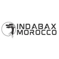 IndabaX Morocco logo - Similar company to Daky Ai