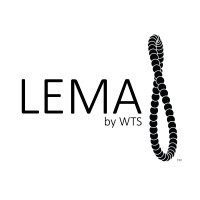 Lema logo - Similar company to Techmax Kenya