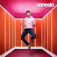 Sonesto BV logo - Similar company to Easypay