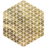 Global Risks Forum (GRF) logo - Similar company to The Global Risks Alliance(Gra)