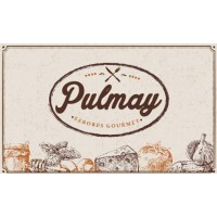 Pulmay logo - Similar company to Action Partners Chile
