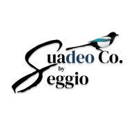 Suadeo Co. logo - Similar company to Suadeo Consult