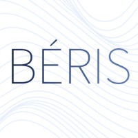 Béris logo - Similar company to Beris Co