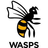 Wasps