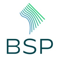 Boundary Stone Partners logo - Similar company to Bespoke Coach Inc.