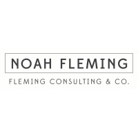 Noah Fleming Consulting & Co. logo - Similar company to Snapper Studio