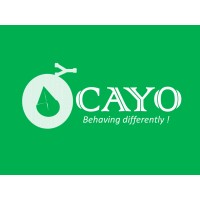 Ocayo logo - Similar company to Adflyn
