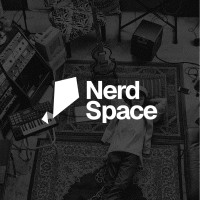 Nerd Space logo - Similar company to Space Software Plc