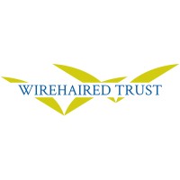 Wirehaired Trust logo - Similar company to Pointer Insurance Group