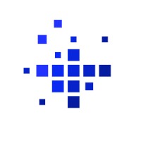 Digital Survival Group logo - Similar company to Vi Company