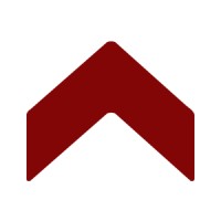 True North Business Services logo - Similar company to Lean Technologies, Inc.