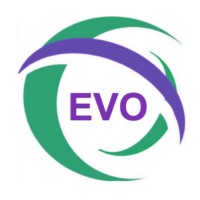 Electronic Village Online logo - Similar company to Baugrund
