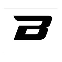 Bengine logo - Similar company to Quantum Harbour It Systems Limited