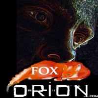 FoxOrion Design