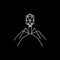 Kikurzor logo - Similar company to Dragonsec Si