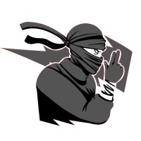 Paid Marketing Ninja logo - Similar company to Nuktay
