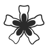Sugimori Dental Office logo - Similar company to Strt