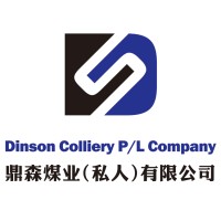 DINSON COLLIERY (PRIVATE) LIMITED logo - Similar company to Nemstech