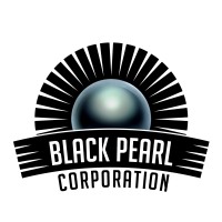 Black Pearl Consulting Group logo - Similar company to Cooperative Network