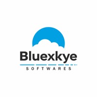 Bluexkye logo - Similar company to Dynaverse