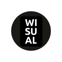 Wisual logo - Similar company to Sapthagiri Technologies
