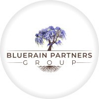 Bluerain Partners Group Inc. logo - Similar company to Lövit