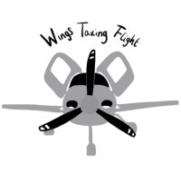 Wings Taking Flight logo - Similar company to Pavocat Group Of Companies
