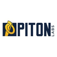 Piton Labs logo - Similar company to 16Thirty