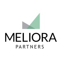 Meliora Partners logo - Similar company to Insyte Consulting