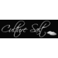 Culture Salt logo - Similar company to Light & Pixel Studio