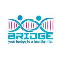 Bridge logo - Similar company to Menta Group | مجموعة منتا