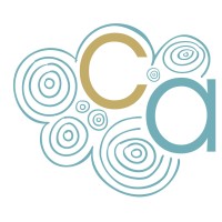 Cloud Accounting & Consulting, Inc.