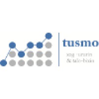 Tusmo Research and Consulting logo - Similar company to Altai Consulting
