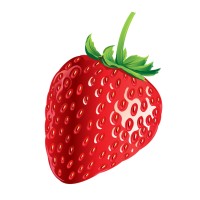 Strawberry Hill Partners logo - Similar company to Infosly