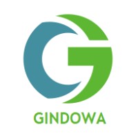Gindowa Technologies Private Limited logo - Similar company to Nxgn Services