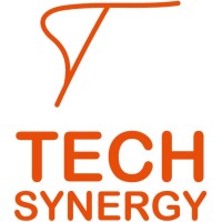 Tech Synergy DMCC logo - Similar company to Valuetech Egypt