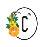 Les Candides logo - Similar company to Les Bienfaits