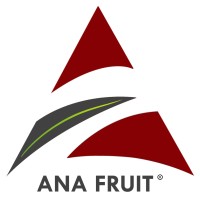 Ana Fruit logo - Similar company to The Fresh Apple Dış Ticaret Ltd. Şti. (Apple'S Effendy)