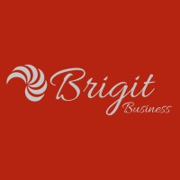 Brigit Business logo - Similar company to Edgenet | Conectividade Segura E Inteligente