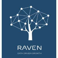 Raven Data logo - Similar company to Data Strategy